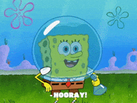 season 8 episode 13 GIF by SpongeBob SquarePants