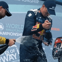 Celebration Win GIF by World RX - FIA World Rallycross Championship