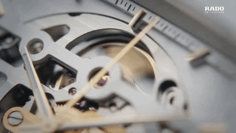 GIF by Oat Foundry