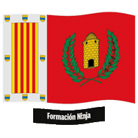 Comunidad Valenciana Flag Sticker by Formación Ninja