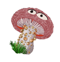 Mushroom Sticker