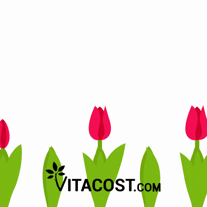 Vitacost giphyupload flowers mom spring GIF