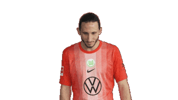 Happy Football Sticker by VfL Wolfsburg