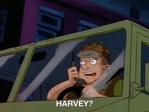 hey arnold nicksplat GIF
