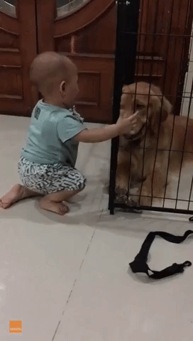 Baby Tries to Help Furry Pal Make a Jail Break