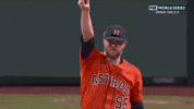 World Series Baseball GIF by MLB