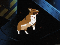 cowboy bebop running GIF