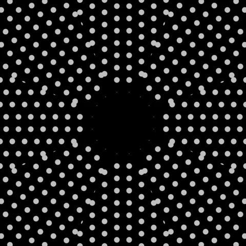 motion graphics gif art GIF