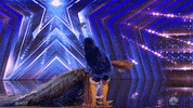 Season 16 GIF by America's Got Talent
