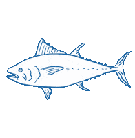 Nachhaltig Sticker by Marine Stewardship Council (MSC)