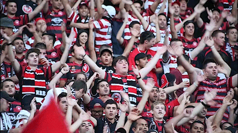 wswanderersfc giphyupload reaction football wanderers GIF