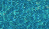 Pooldrommar pool swim swimming pool swimmingpool GIF