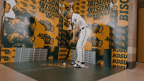Baseball Bison GIF by NDSU Athletics
