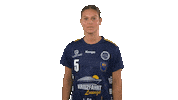 handballbundesligafrauen handball hbf nielsen handball bundesliga frauen Sticker