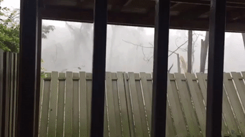 Hurricane Maria Blows Over Fence in San Juan