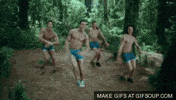 fox news GIF