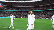 celebration yes GIF by England