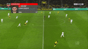 GIF by nss sports