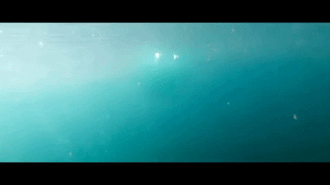 Water Sea GIF by Ryland James