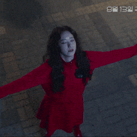 선지 GIF