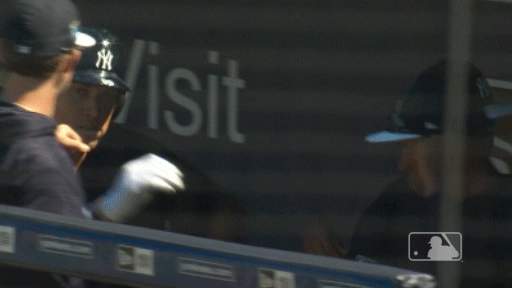 ny yankees GIF by MLB