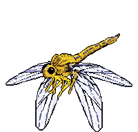 PositPixel pixel art sprite sprites dragonfly Sticker