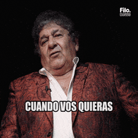 Vamos Los Palmeras GIF by Filonews