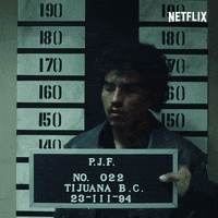 season 1 mexico GIF by NETFLIX