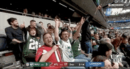 Football Sport GIF by NFL