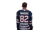 Ice Hockey Sticker by Fehervar AV19