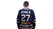 Ice Hockey Sticker by Fehervar AV19