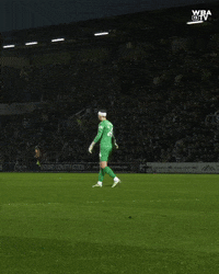 West Brom Football GIF by West Bromwich Albion