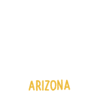 Vote Early Election 2020 Sticker by Creative Courage