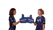Team Wtf Sticker by GoZwift