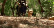 dog #criminalminds GIF by CBS