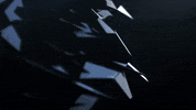 Bird Metal GIF by Woodblock