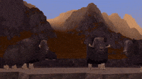 A Bunch Of Buffalo! 