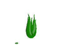 aloe vera dance Sticker by Unilever Indonesia