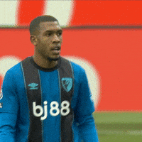 Premier League Ok GIF by AFC Bournemouth