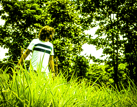 Tiger Forest GIF by da sachin