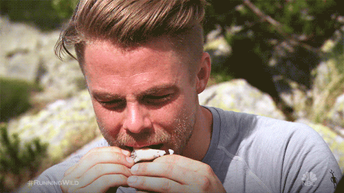 bear grylls lol GIF by NBC