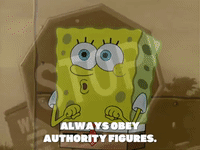 season 8 squidward's school for grown ups GIF by SpongeBob SquarePants