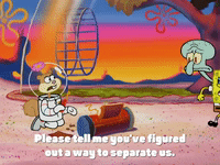 season 4 GIF by SpongeBob SquarePants