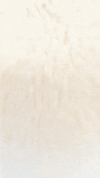 Dog Book GIF by Youtooz