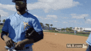 Tampa Bay Rays Sport GIF by MLB