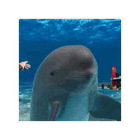 Feels Good Swimming Sticker