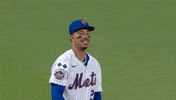 Happy Baseball GIF by New York Mets