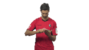 flipping sc freiburg Sticker by Bundesliga