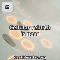 Harmony Pulsating GIF by deathlessdao