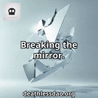 Sarcastic Mirror GIF by deathlessdao
